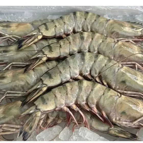 Wild-Caught Prawns