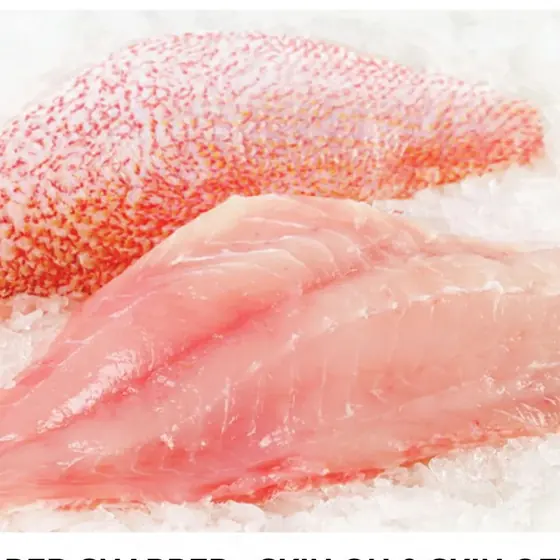 Red snapper fillet