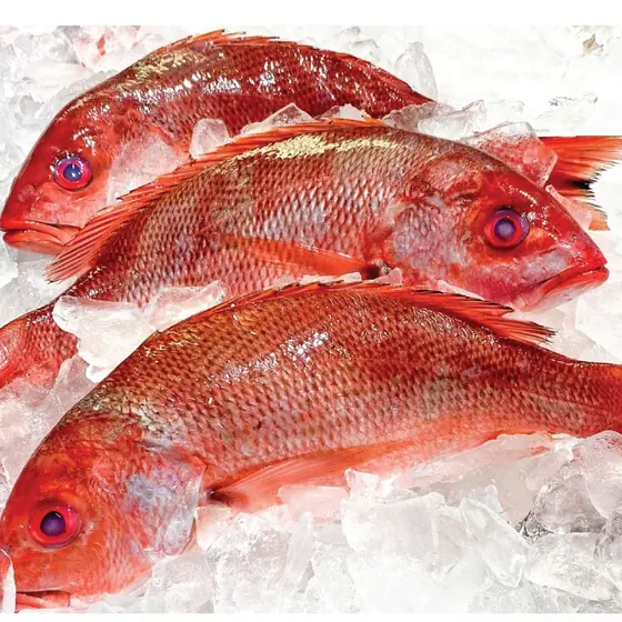 Fresh & Frozen Whole Fish