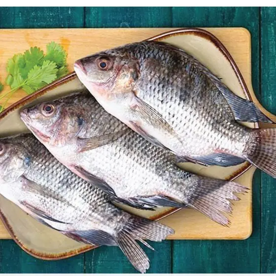 Lake Victoria Fish