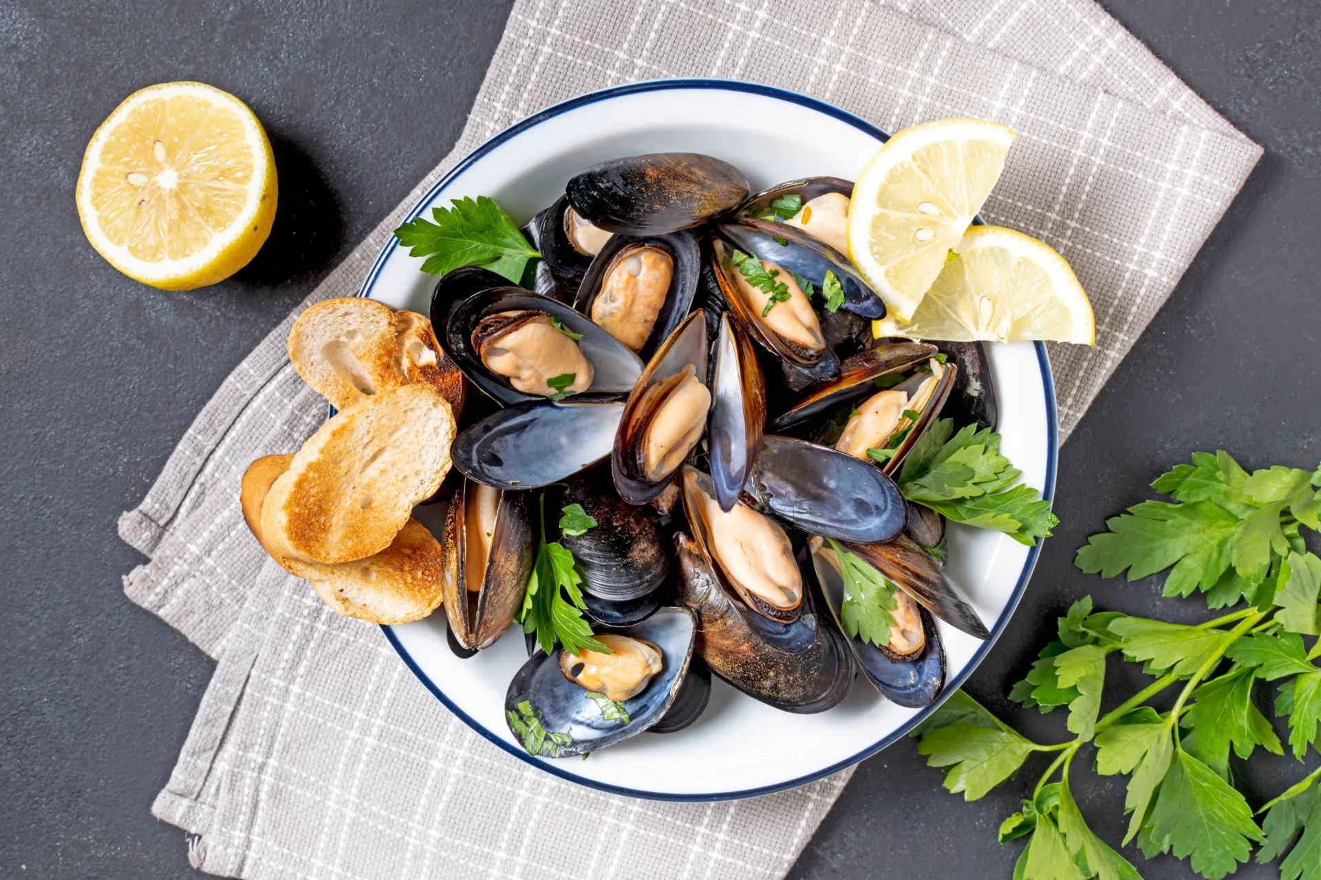 [BS001] Blue Shell Mussel