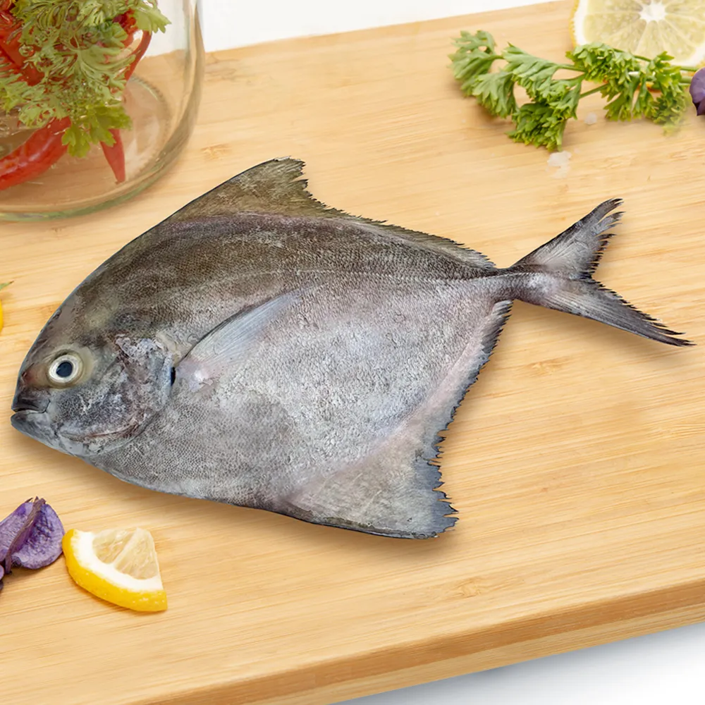 [SFW011] Golden Pomfret