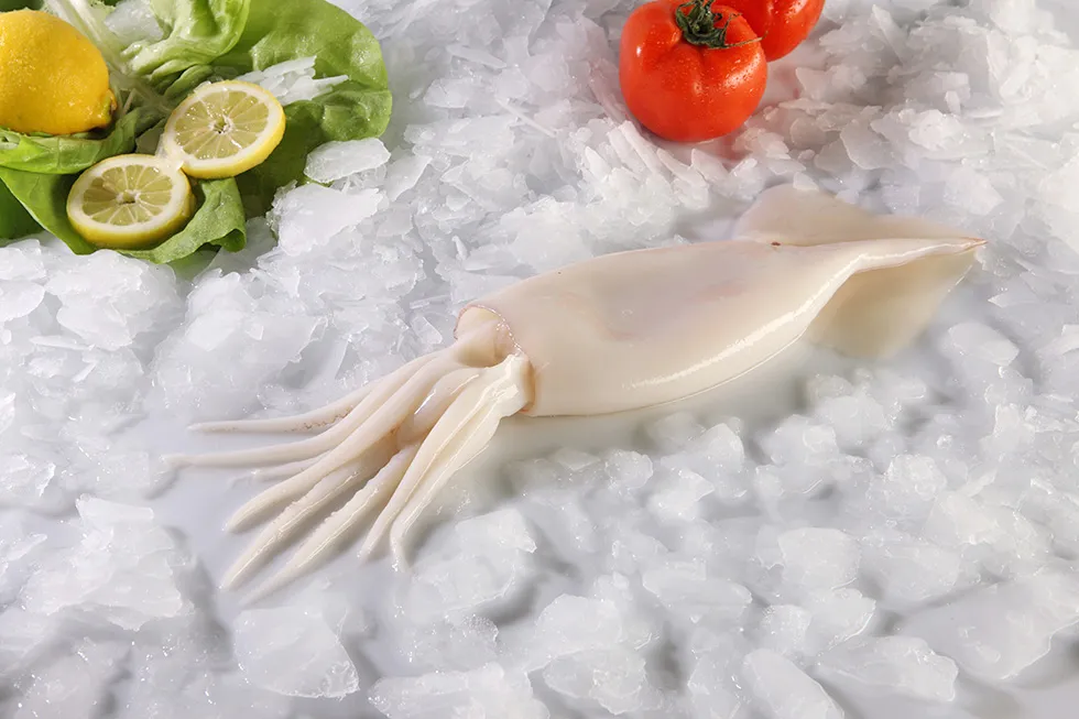 Squid (500 G Retail) (500G Small Squid)