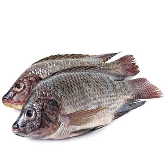 [TWG001] Tilapia: Whole/Gutted (100/200)