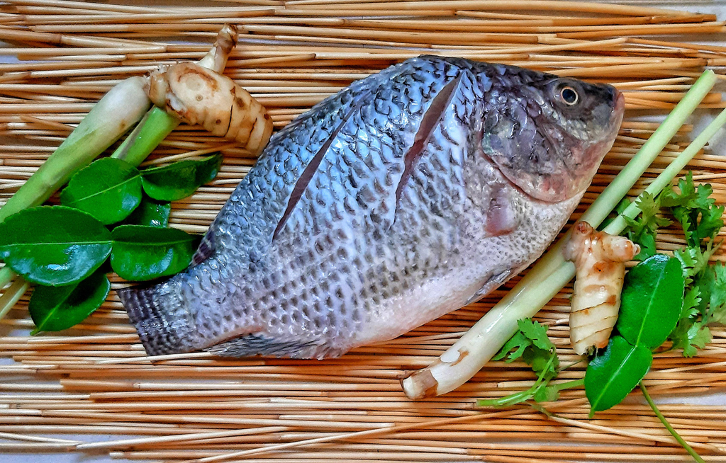 [TWGS001] Tilapia Whole/Gutted/Scaled (400/500)