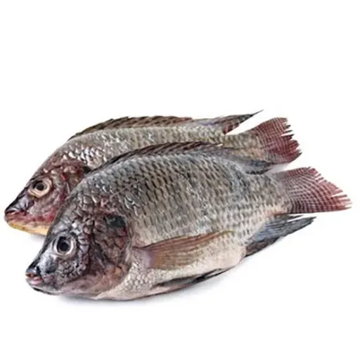 Tilapia, Whole & Gutted